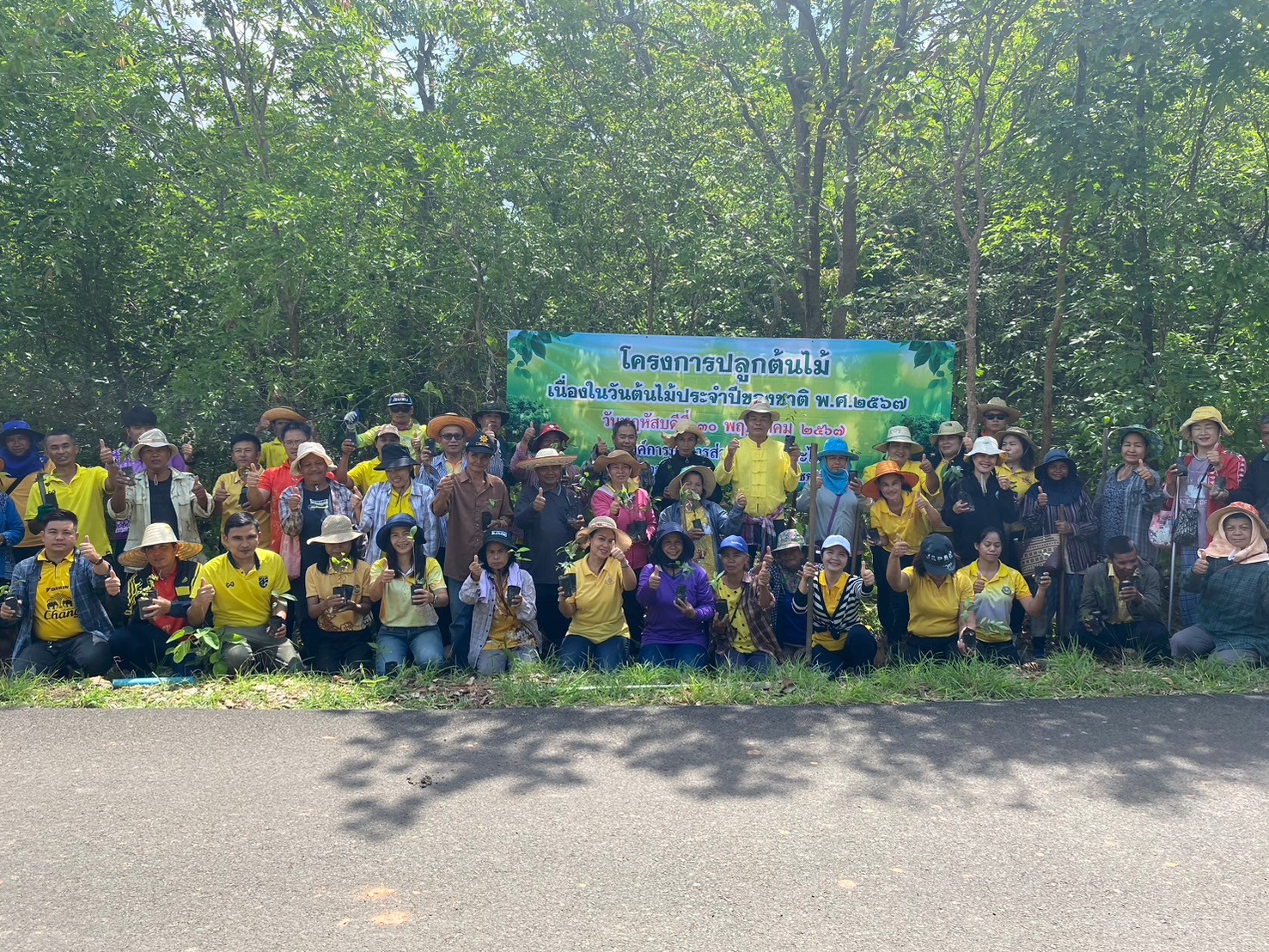 LINE ALBUM ปลกปา2567 240531 2 0