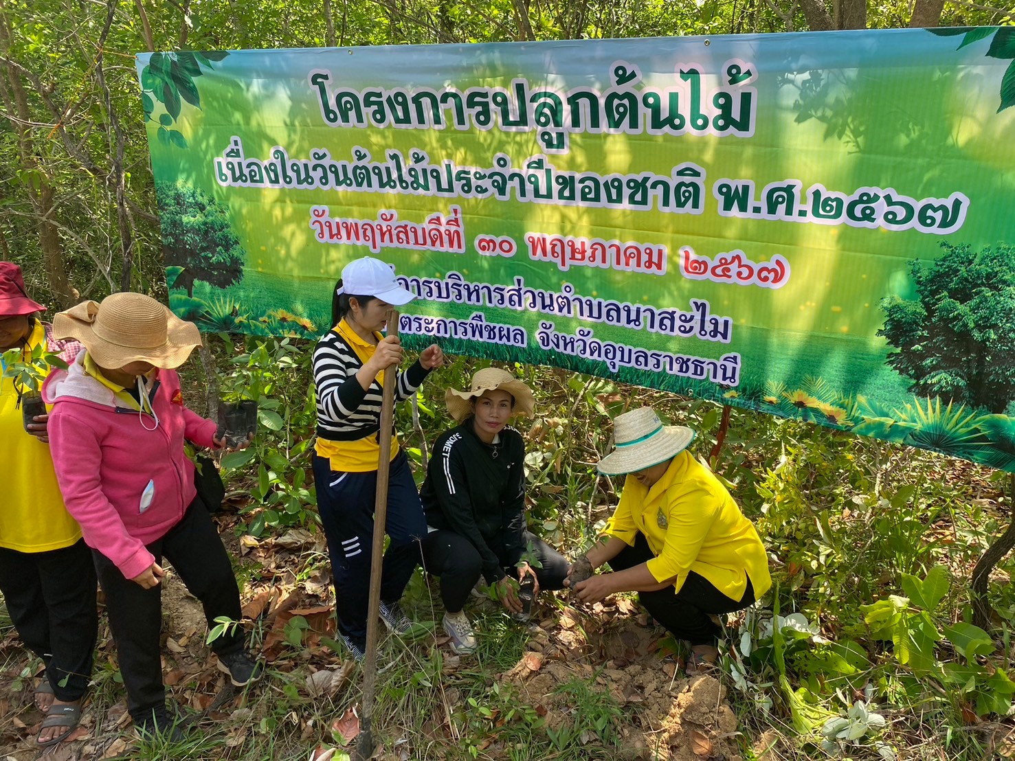 LINE ALBUM ปลกปา2567 240531 3 0